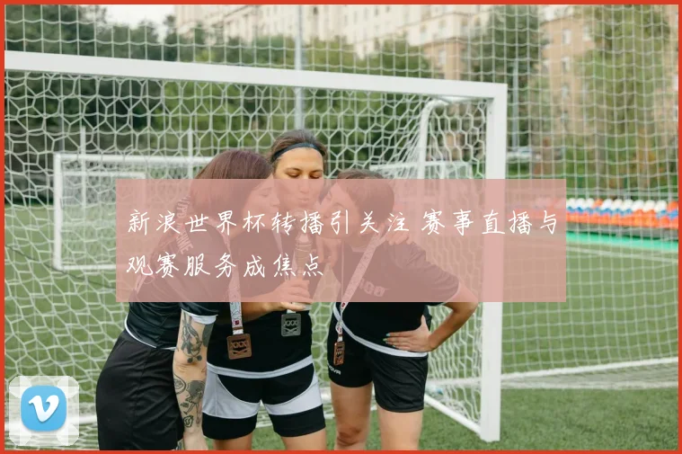 新浪世界杯转播引关注 赛事直播与观赛服务成焦点