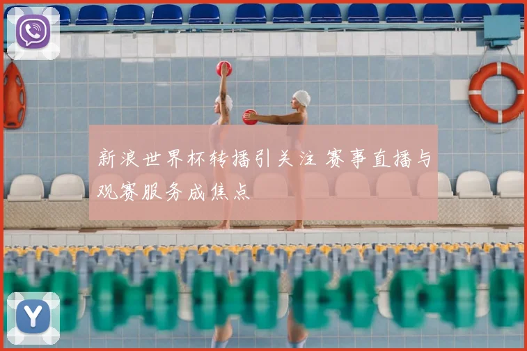 新浪世界杯转播引关注 赛事直播与观赛服务成焦点