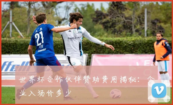 世界杯合作伙伴赞助费用揭秘:企业入场价多少