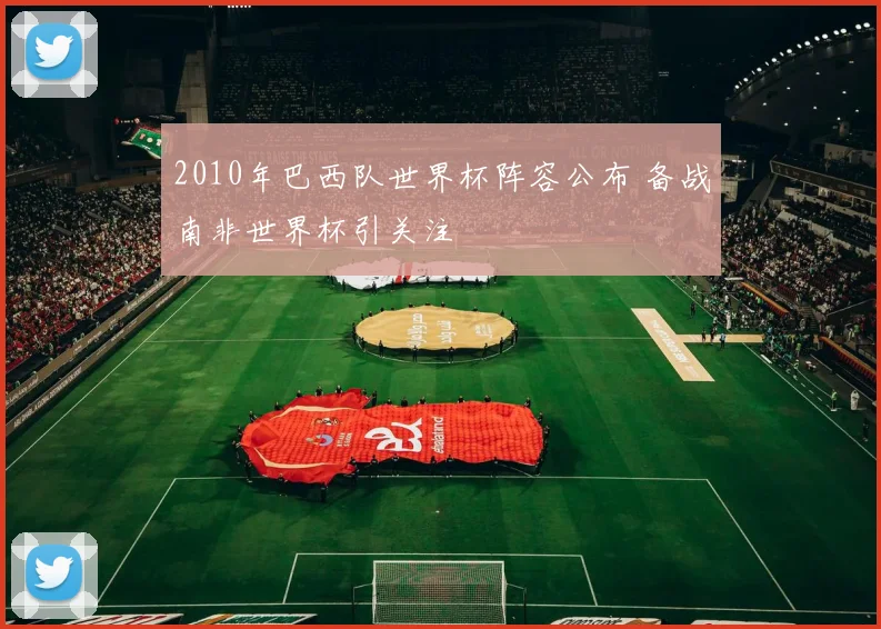 2010年巴西队世界杯阵容公布 备战南非世界杯引关注