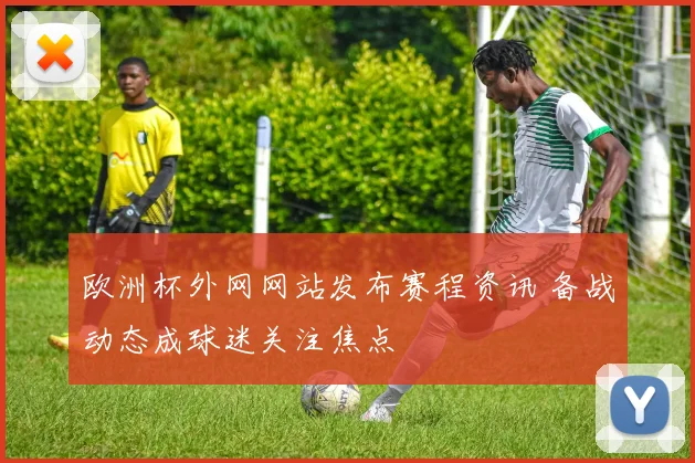欧洲杯外网网站发布赛程资讯 备战动态成球迷关注焦点