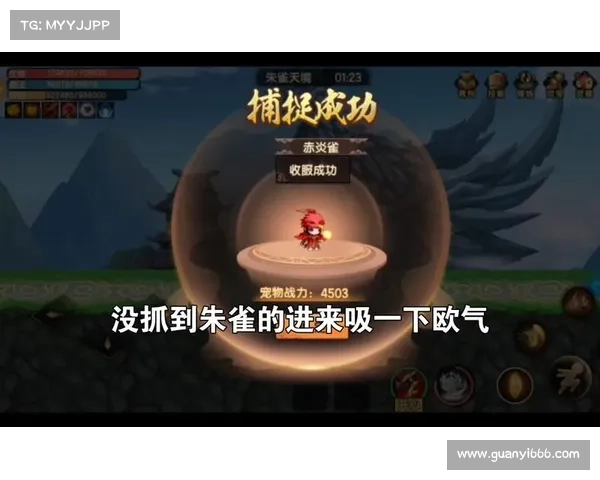 踏入朱雀天境开启新纪元探索之门通往未知世界的绝妙契机