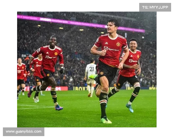 全方位深度解析英超突然停摆背后五大关键原因的真相全揭示报道讯